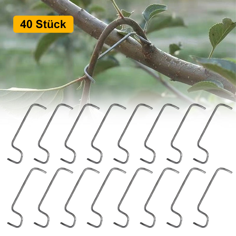 🍒Werkzeug zum Formen von Obstbäumen（40 Stück）