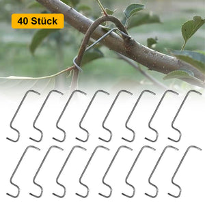 🍒Werkzeug zum Formen von Obstbäumen（40 Stück）