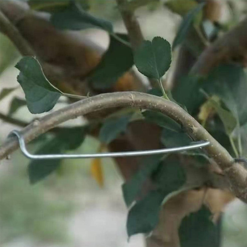 🍒Werkzeug zum Formen von Obstbäumen（40 Stück）