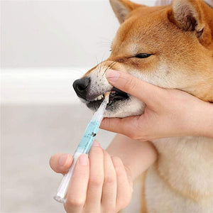 Haustier Hund / Katze Zähne Reinigungsstift