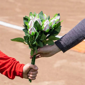 Sportleder Rose