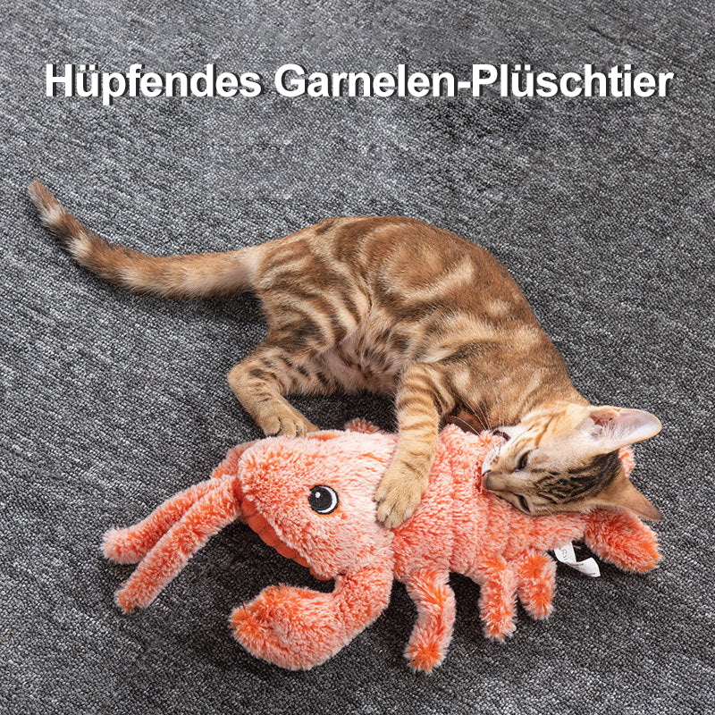 Interaktives Katzen- und Hundespielzeug