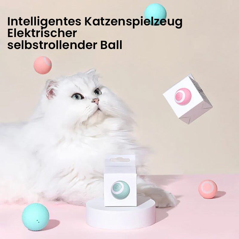 Elektrisches Katzenspielzeug