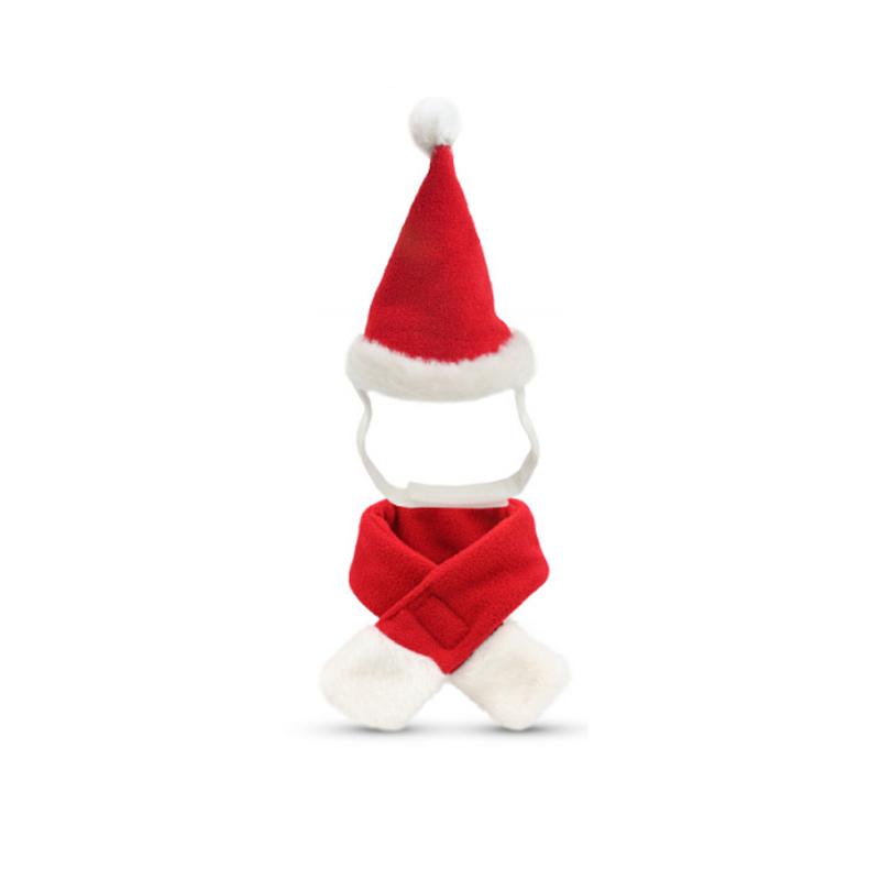 Haustier Weihnachtsfeiertag Weihnachtsmütze mit Schal