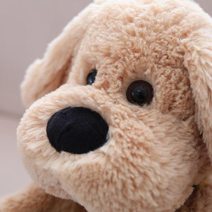Der fröhliche klatschende Hund