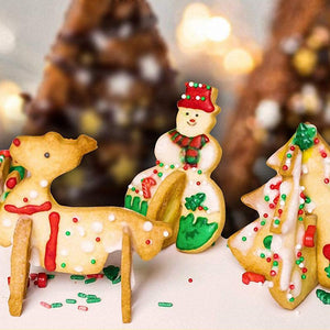 Weihnachtsplätzchenform aus rostfreiem Stahl