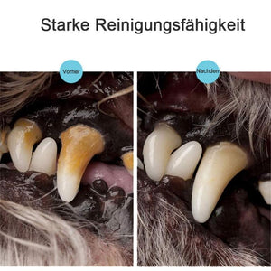 Haustier Hund / Katze Zähne Reinigungsstift