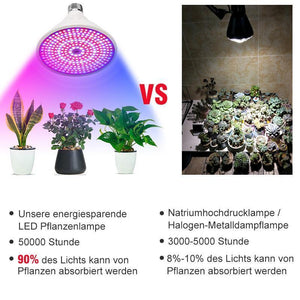 Zimmerpflanzen LED Pflanzenlampe mit Klammer