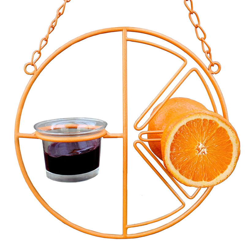 Süßer orangefarbener Vogelhäuschen